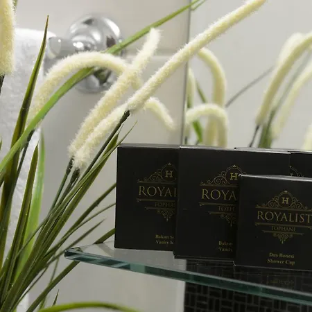 Royalist Tophane Hotel Istanbul